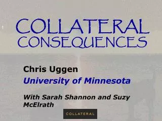 COLLATERAL CONSEQUENCES