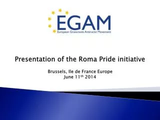 Presentation of the Roma Pride initiative Brussels, Ile de France Europe June 11 th 2014