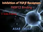 Asim Farooq - slide 1