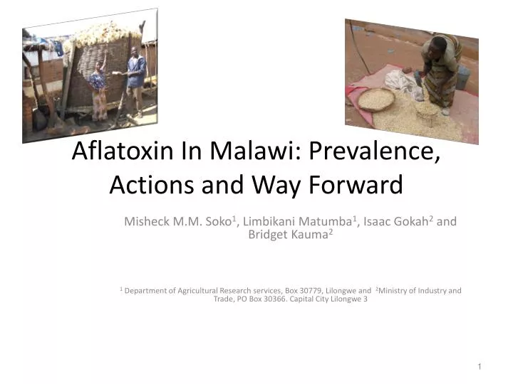 aflatoxin in malawi prevalence actions and way f orward