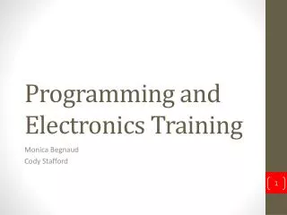 Programming and Electronics Training