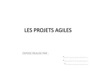 les projets agiles
