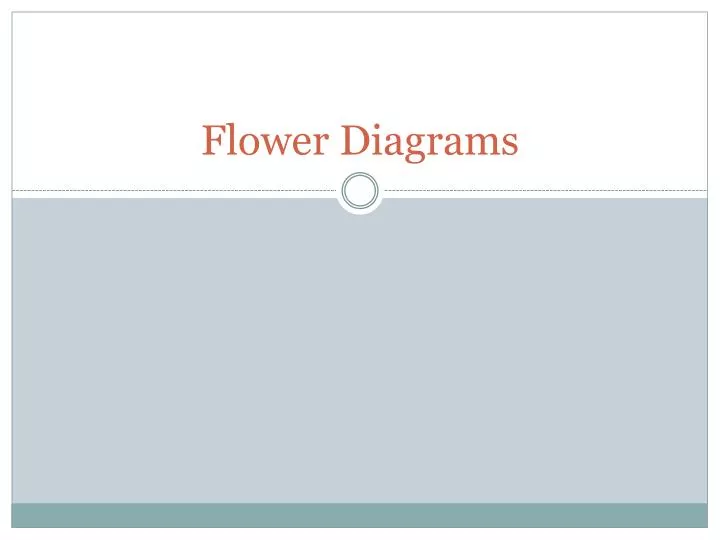 flower diagrams