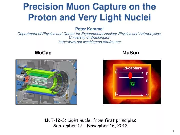 precision muon capture on the proton and very light nuclei