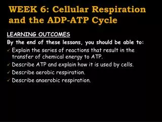 WEEK 6: Cellular Respiration and the ADP-ATP Cycle