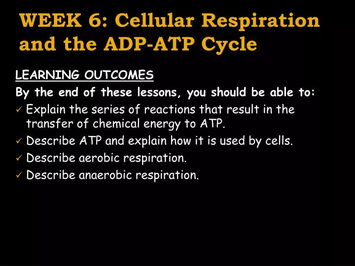 week 6 cellular respiration and the adp atp cycle