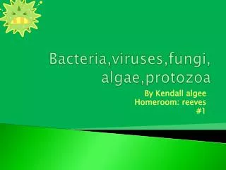 Bacteria,viruses,fungi, algae,protozoa