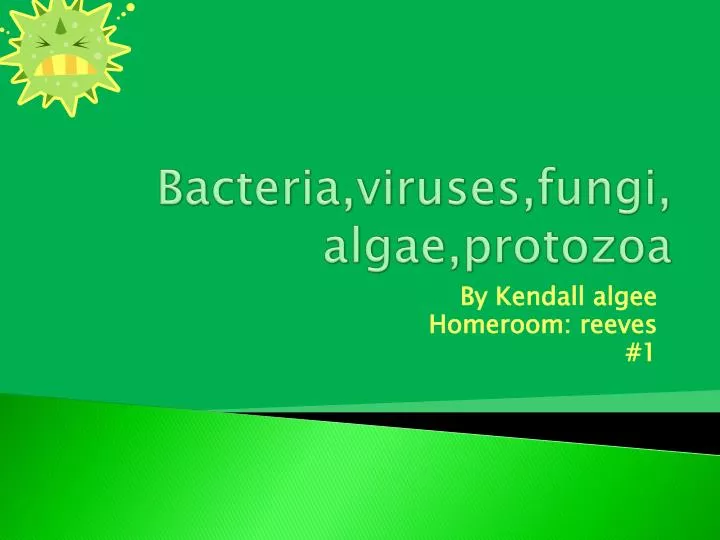 bacteria viruses fungi algae protozoa