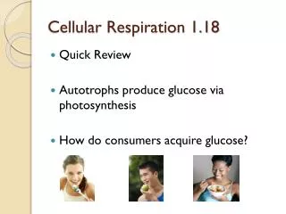 Cellular Respiration 1.18