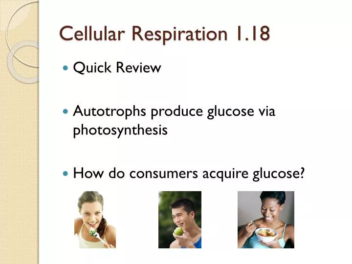cellular respiration 1 18
