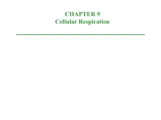 CHAPTER 9 Cellular Respiration