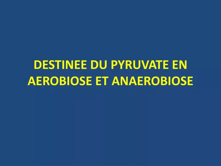 destinee du pyruvate en aerobiose et anaerobiose