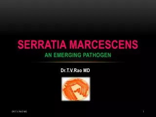 Serratia marcescens an emerging pathogen