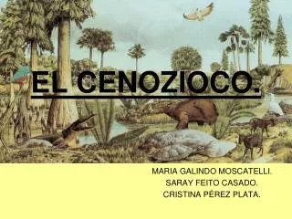el cenozioco