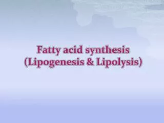 Fatty acid synthesis ( Lipogenesis &amp; Lipolysis )