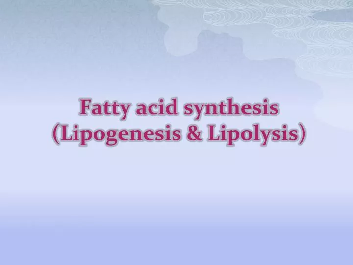 fatty acid synthesis lipogenesis lipolysis