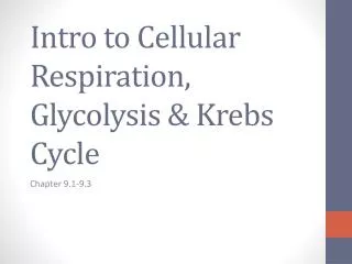 Intro to Cellular Respiration, Glycolysis &amp; Krebs Cycle