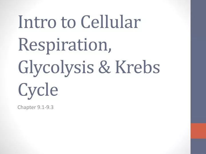 intro to cellular respiration glycolysis krebs cycle