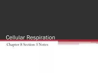 cellular respiration