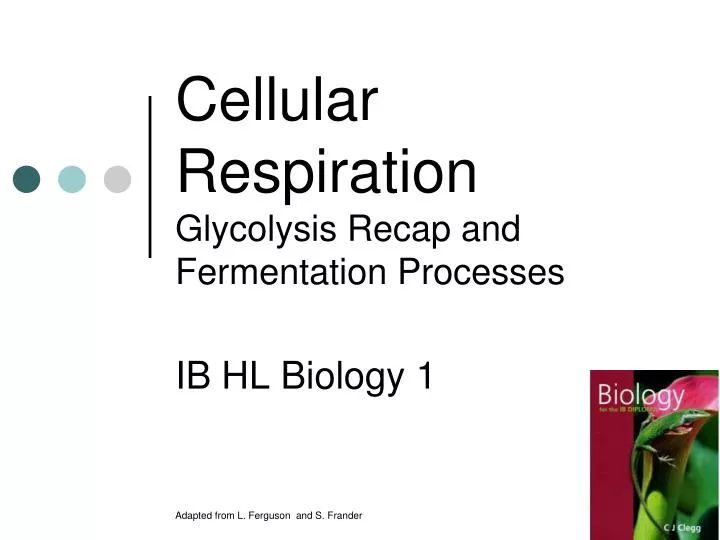 cellular respiration glycolysis recap and fermentation processes