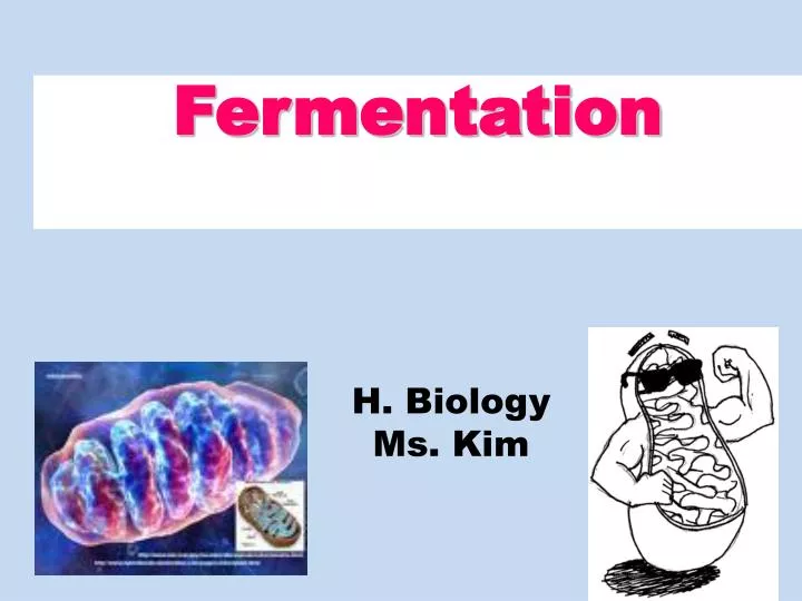 h biology ms kim