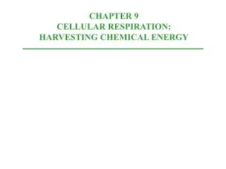 CHAPTER 9 CELLULAR RESPIRATION: HARVESTING CHEMICAL ENERGY