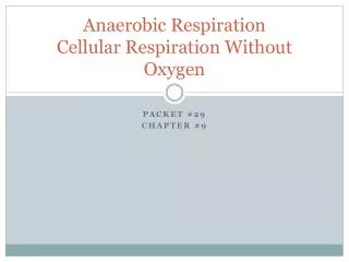 Anaerobic Respiration Cellular Respiration Without Oxygen