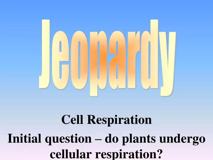 cell respiration initial question do plants undergo cellular respiration
