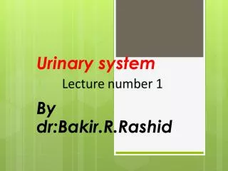 Urinary system By dr:Bakir.R.Rashid