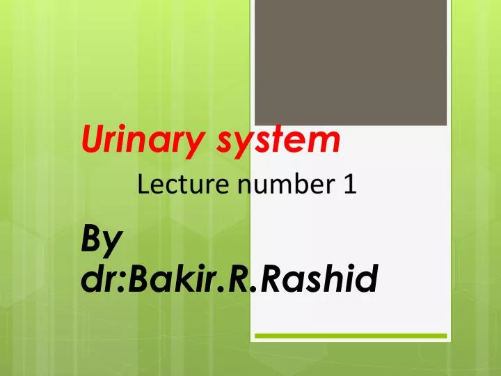 urinary system by dr bakir r rashid