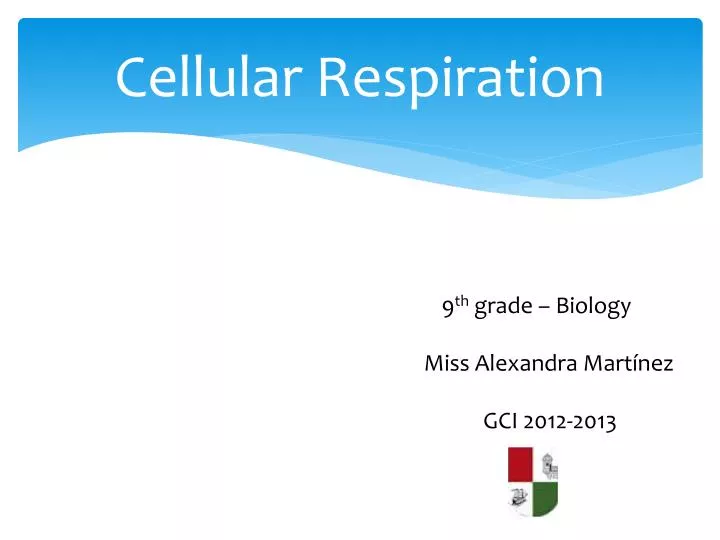 cellular respiration