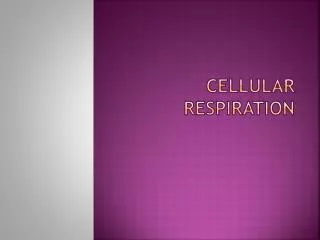 cellular respiration