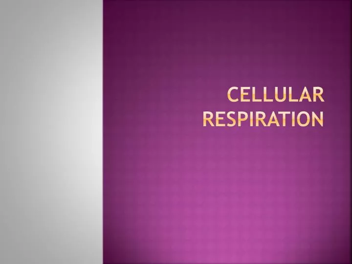 cellular respiration