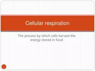 Cellular respiration