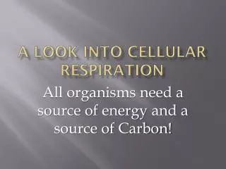 a look into Cellular Respiration