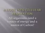 Cellular Respiration in Depth: A Comprehensive Overview of Energy Production in Organisms - slide 1