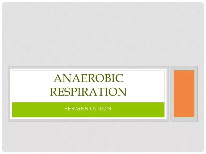 anaerobic respiration