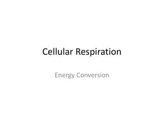 Cellular Respiration