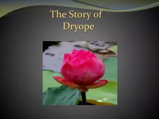 The Story of Dryope