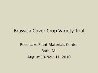 Brassica Cover Crop Variety Trial