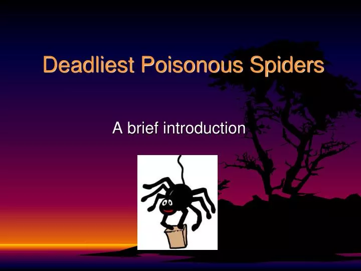 deadliest poisonous spiders