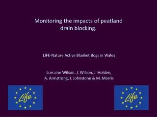 Monitoring the impacts of peatland drain blocking.