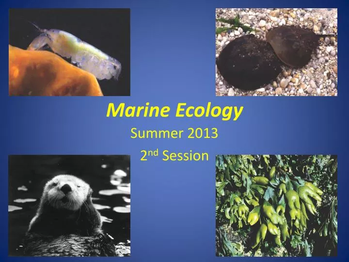 marine ecology