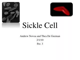 Sickle Cell