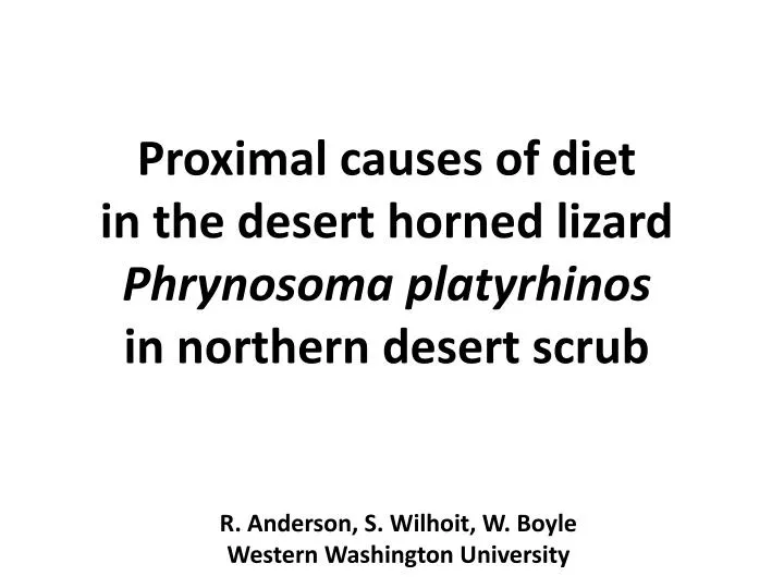 proximal causes of diet in the desert horned lizard phrynosoma platyrhinos in northern desert scrub