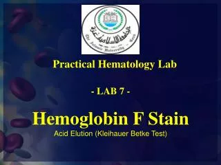 Hemoglobin F Stain Acid Elution (Kleihauer Betke Test)