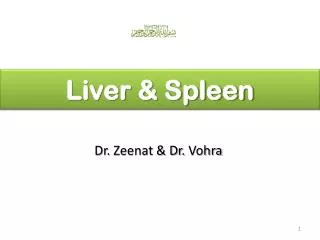 Liver &amp; Spleen