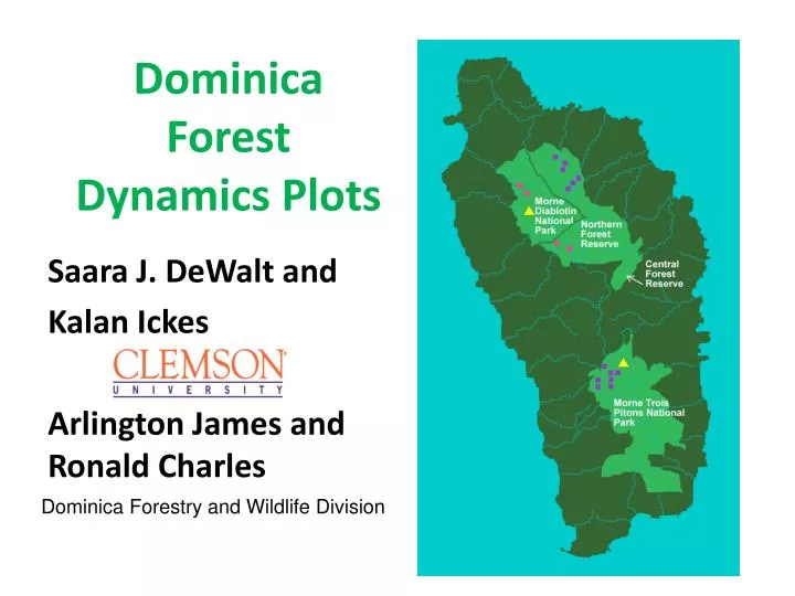 dominica forest dynamics plots