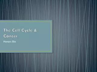 The Cell Cycle &amp; Cancer