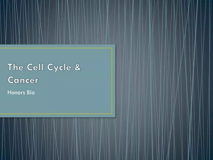 the cell cycle cancer